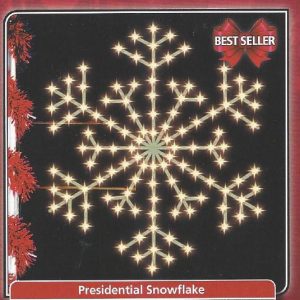 Presidential snowflake
