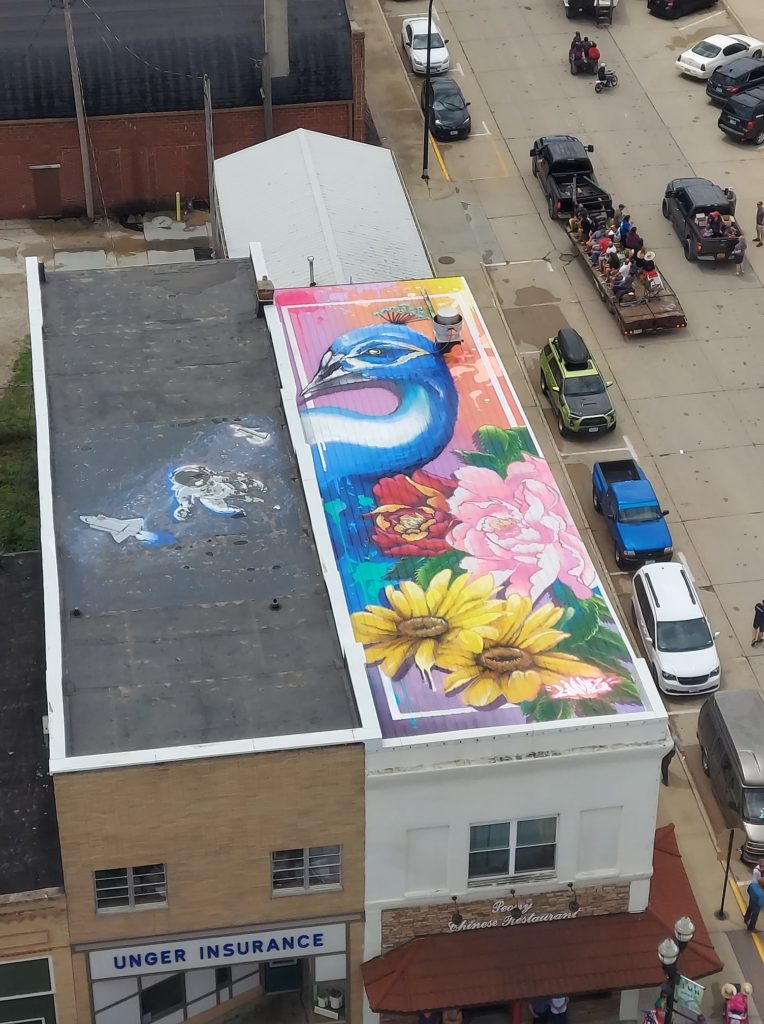 Peony rooftop art by artist Dana Harrison